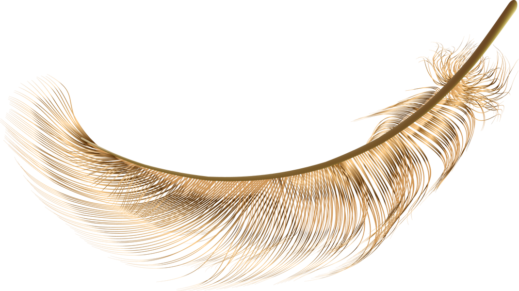 Gold feather